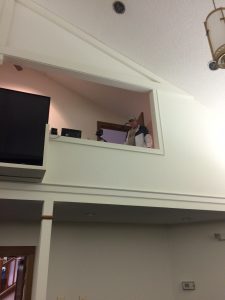 IMG_6030